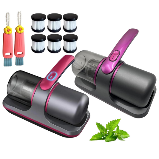 Usisivač za dubinsko čišćenje